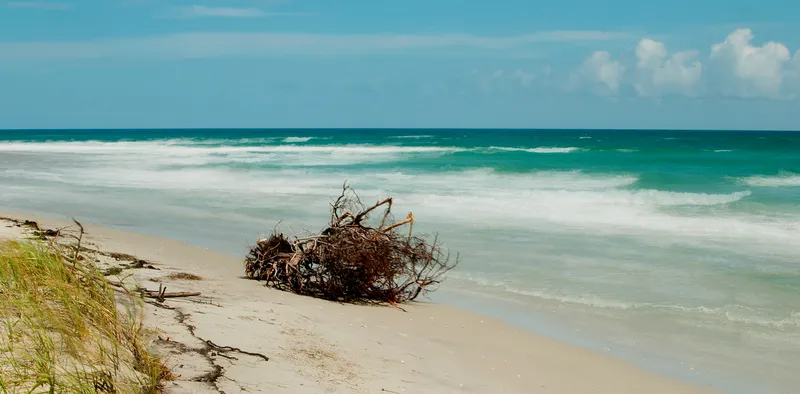 Gentle waves washing over the sandy beach on Hatteras Island with soft diffused light and wide open coastline