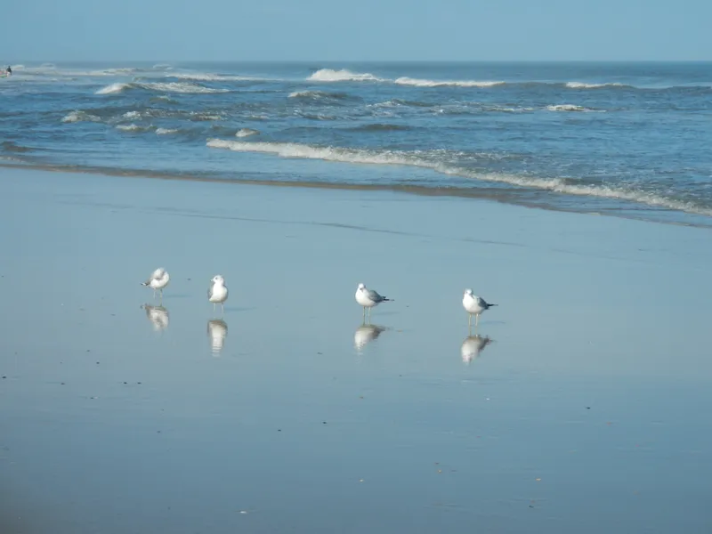 Wide sandy beach near Duck looking north along the Outer Banks coastline with ocean waves and clear winter sky