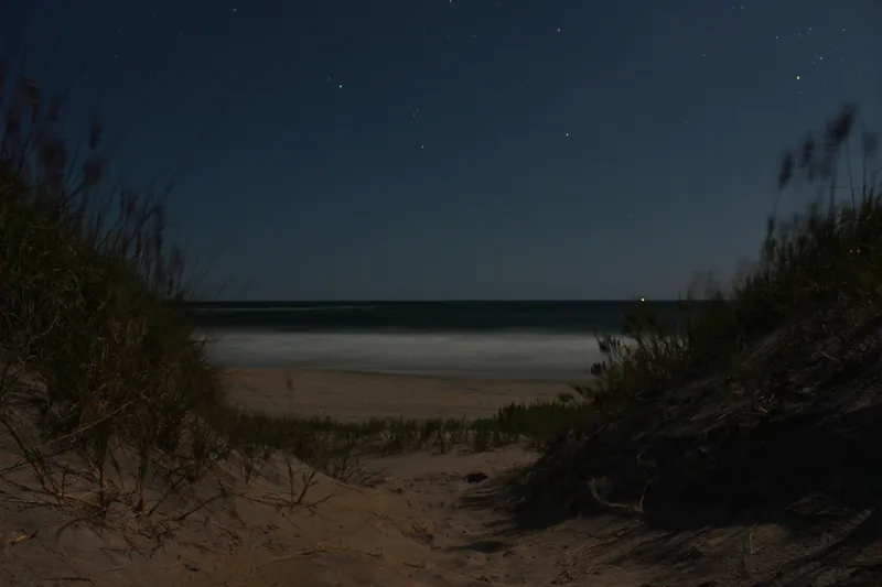 Panoramic view from atop coastal dunes looking out over the Atlantic Ocean on the Outer Banks, with sea oats and sandy slopes in the foreground