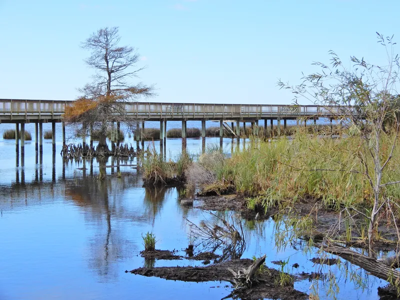 View along the wooden boardwalk at Duck Town Park winding through wetlands and maritime forest with Currituck Sound visible beyond