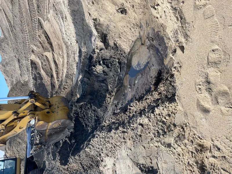 View of Buxton Beach on Hatteras Island looking along the shoreline with waves and dune vegetation in early fall
